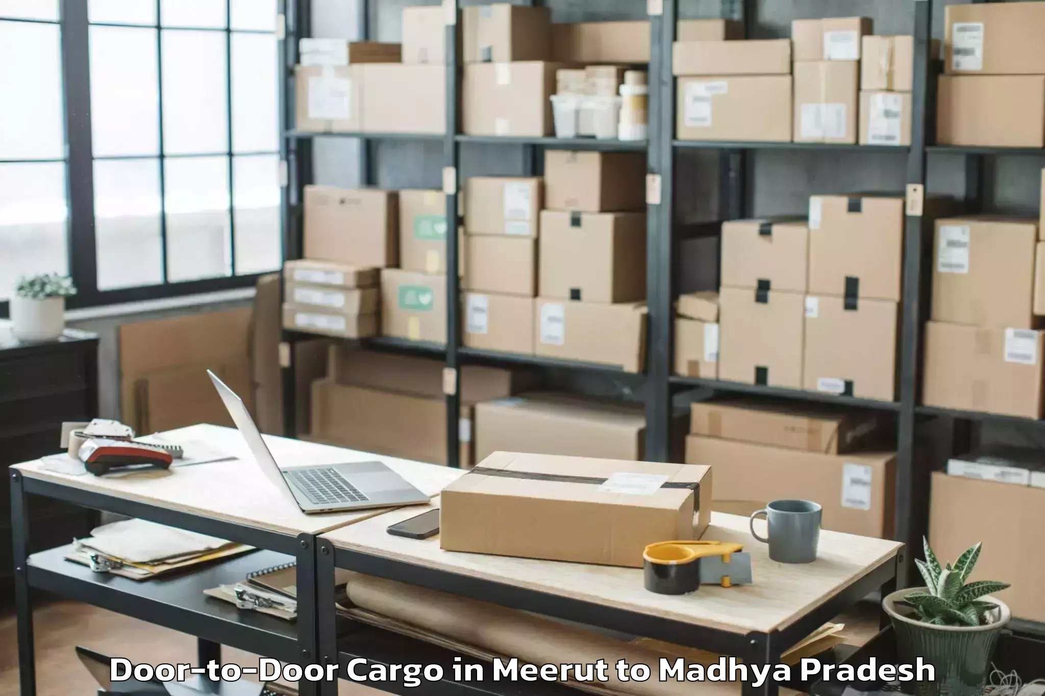 Professional Meerut to Khargone Door To Door Cargo